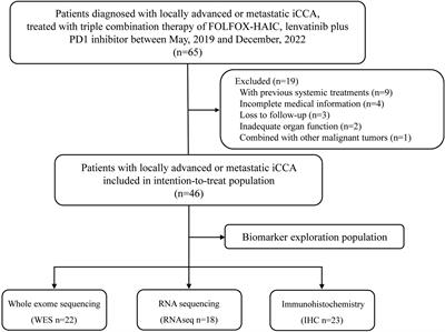 Clinical and biomarker analyses of hepatic arterial infusion chemotherapy plus lenvatinib and PD-1 inhibitor for patients with advanced intrahepatic cholangiocarcinoma